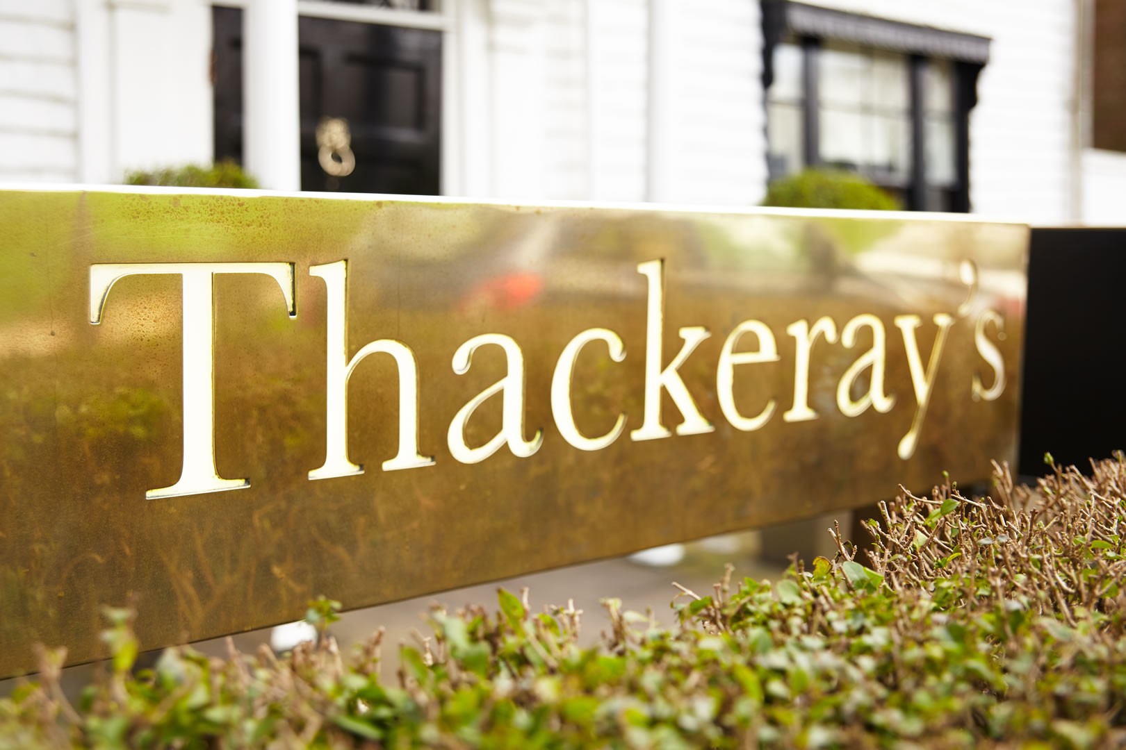 Thackeray's Staff portal